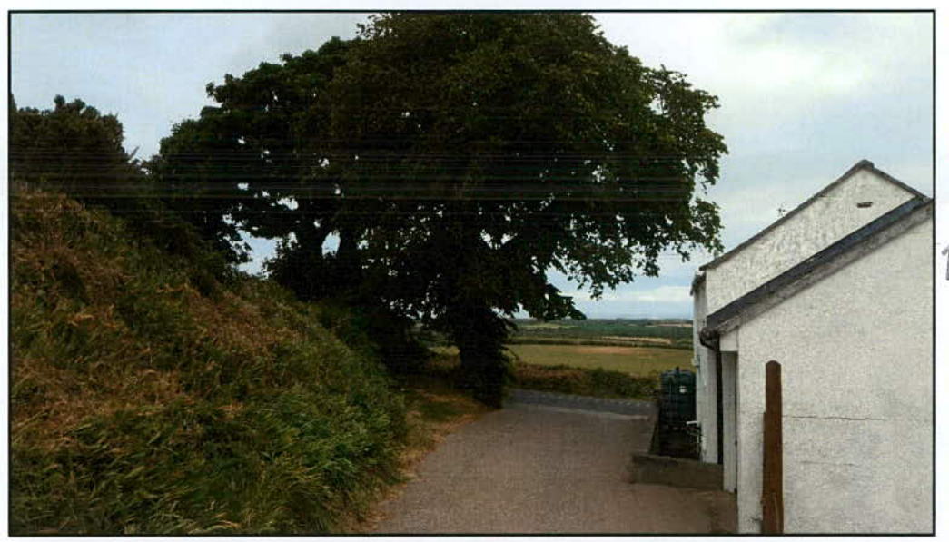A photograph showing a white agricultural building situated next to a paved driveway and a large tree on a grassy bank.