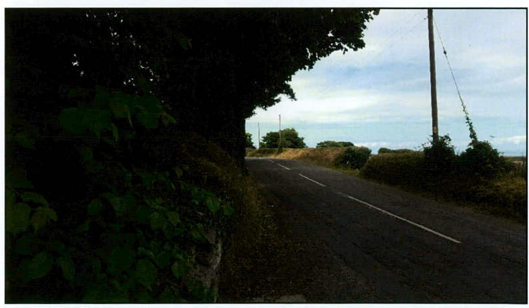 A photograph showing a rural road curving to the right, bordered by dense trees and hedges on the left and a utility pole on the right.