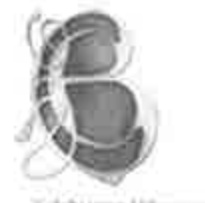 A low-resolution, blurry schematic diagram showing a curved road or path winding around two dark shapes, likely a site plan for road widening.