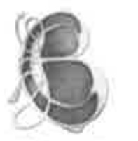 A very blurry, low-resolution image showing dark, rounded shapes connected by white lines, resembling a technical drawing or plan view. This appears to be a schematic of the proposed canopy extension mentioned in the...