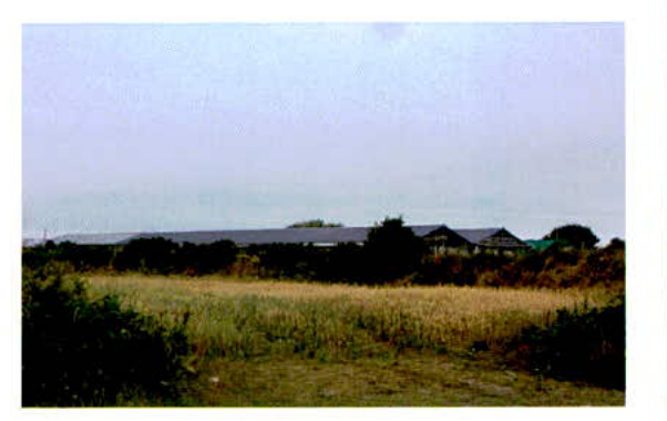 A landscape photograph showing a grassy field in the foreground with a long agricultural-style building visible in the distance behind trees.