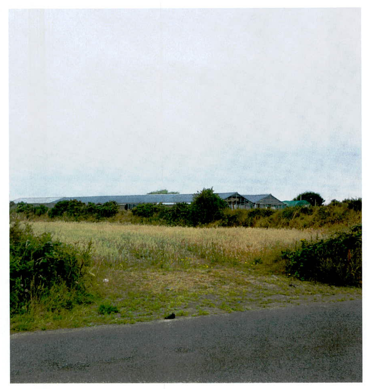 A photograph of a rural site showing a paved road in the foreground and a long agricultural building in the distance.