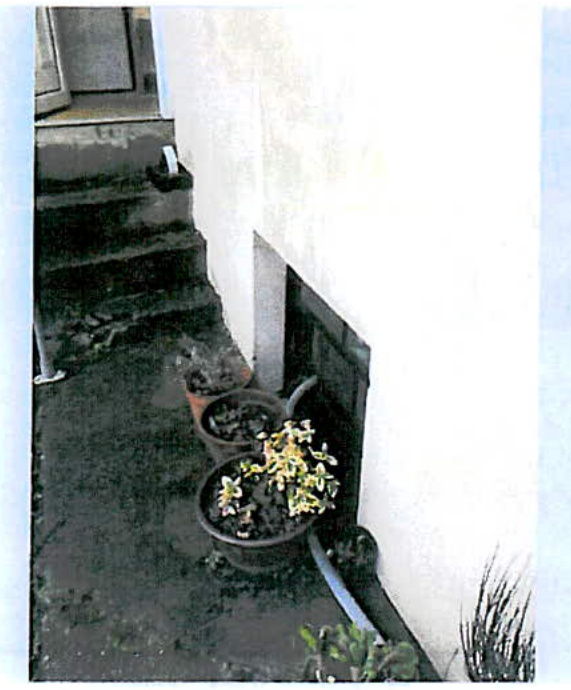 A photograph showing the exterior of a building featuring concrete steps, potted plants, and a dark window or opening in a white wall.