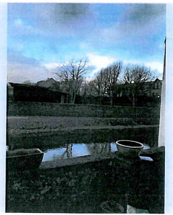 A photograph taken from a patio looking out onto a garden area with a large puddle reflecting the sky and trees.