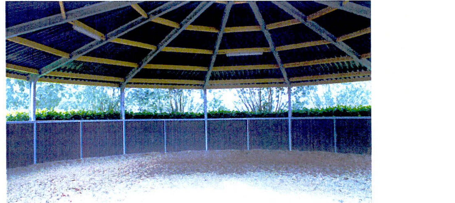 Interior photograph of a covered timber and metal structure with a sandy floor, likely a horse training pen, showing roof trusses and perimeter fencing.
