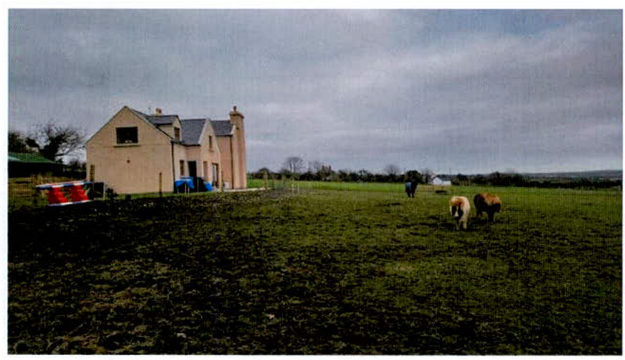 A photograph showing a detached house on the left with a large grassy field in the foreground where ponies are grazing.