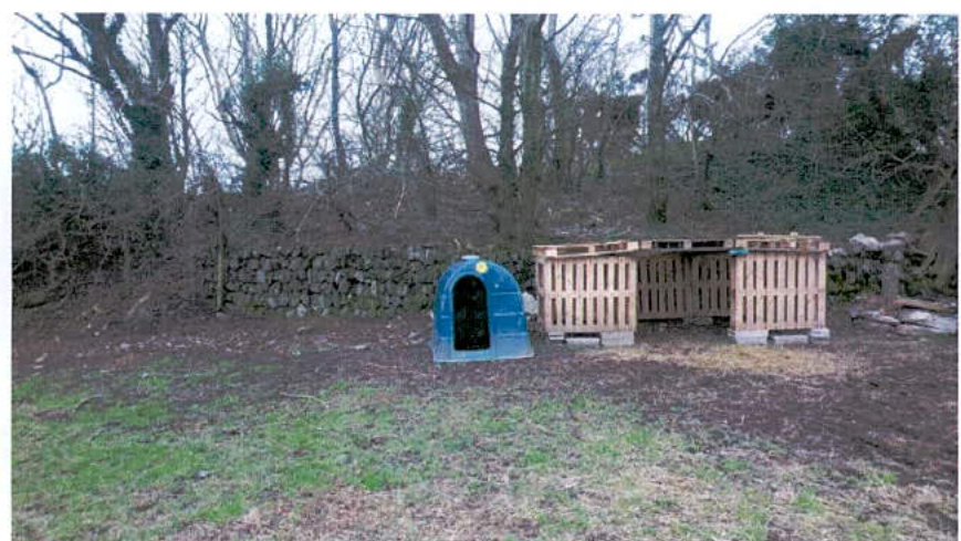 A photograph of a rural site showing a stone wall and trees, with a small blue kennel and a wooden pallet enclosure in the foreground.