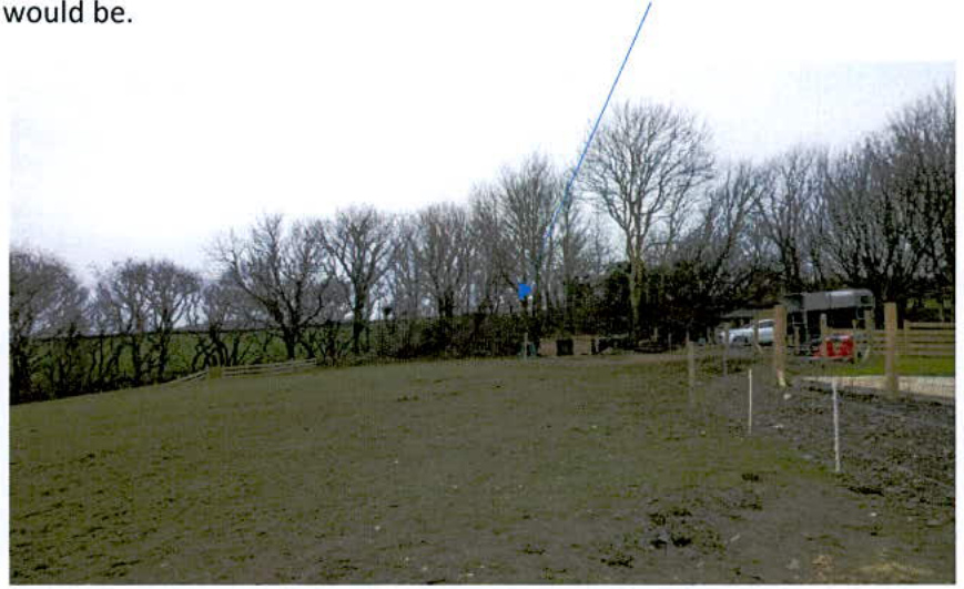 A photograph of a grassy paddock or field with a line of bare trees in the background and a wooden shelter structure on the right side.