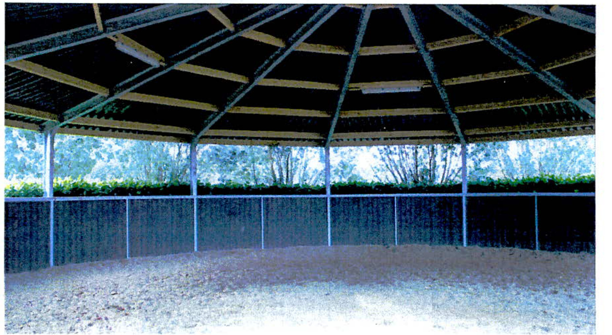 This photograph shows the interior of a timber-framed structure with a sandy floor, consistent with a horse training pen. The view highlights the roof beams, support posts, and surrounding fencing with a rural backdrop.