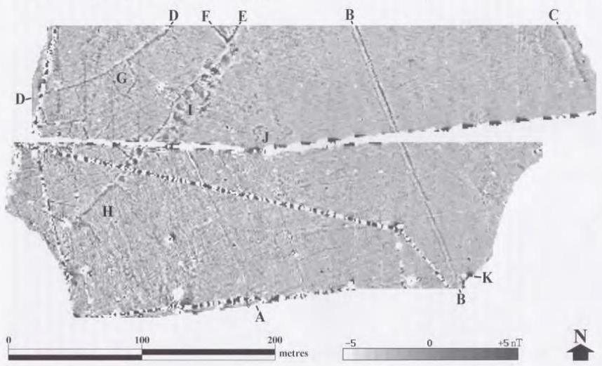 A grayscale geophysical survey map displaying field boundaries and linear features across a large plot of land with scale bars and transect markers.