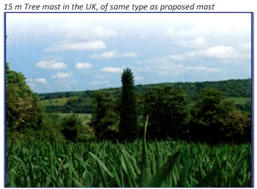 photograph from page 3