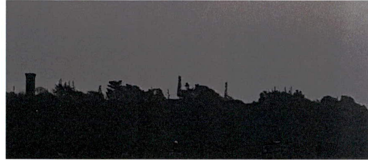 A very dark, grainy photograph showing a silhouette of a landscape with vertical structures, likely masts, rising above vegetation.