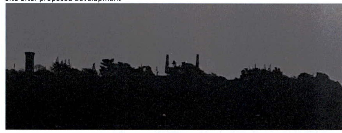 A dark, silhouetted photograph showing a landscape with trees and vertical structures, likely masts, against a grey sky, with the text 'site after proposed development' visible at the top.