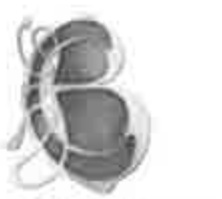 A very low-resolution, pixelated image appearing to be a technical architectural drawing or plan view featuring two large, dark, rounded shapes.