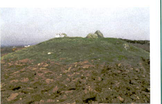 A low-resolution photograph showing a grassy, rocky mound or hill, likely depicting the site terrain for the proposed borehole and plant building.