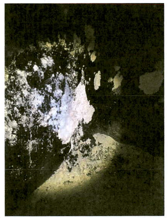 A very dark, grainy, low-contrast image that appears to be a scanned aerial view or site plan, showing indistinct shapes of a building and surrounding vegetation.
