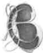 A low-resolution, black and white image displaying an architectural floor plan or site layout with visible walls and boundaries.