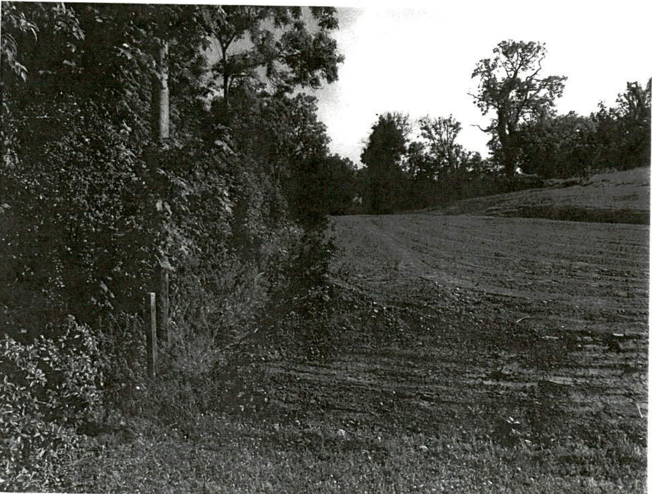 A black and white photograph depicting a rural field boundary with a dense hedge on the left and a ploughed field extending to the right.