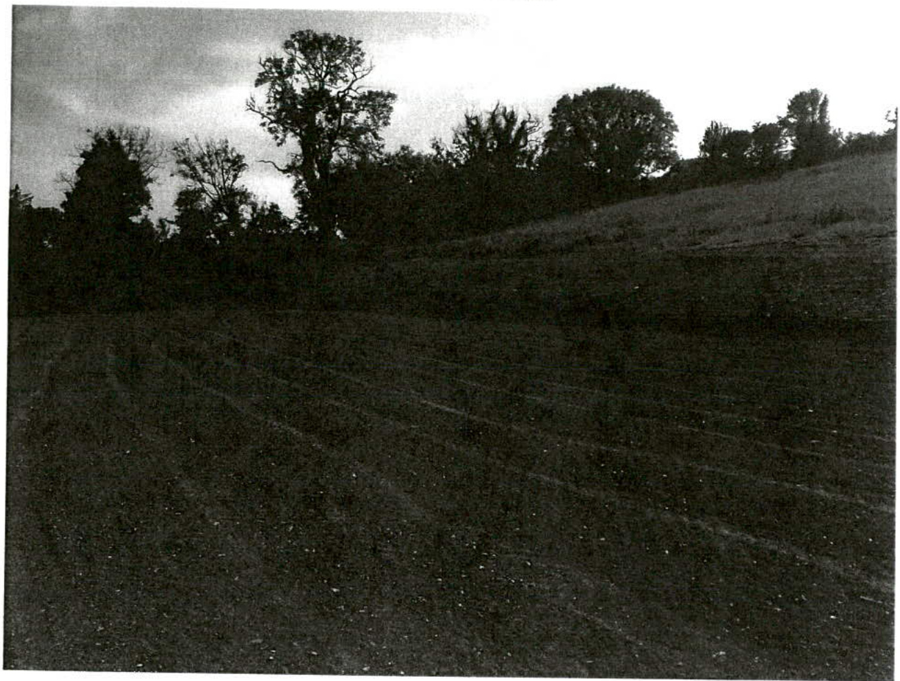 A grainy black and white photograph showing a grassy field slope with trees silhouetted against the sky.