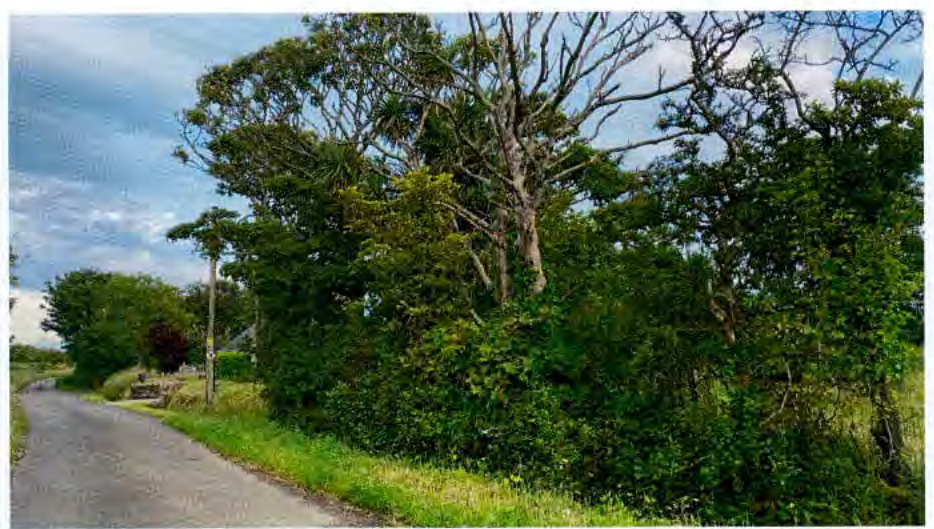 map or plan from page 8