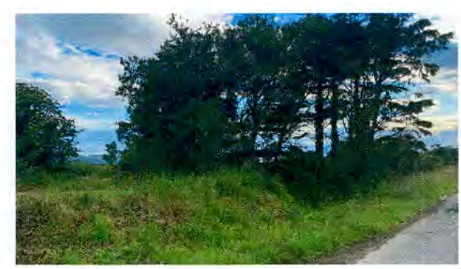 photograph from page 9