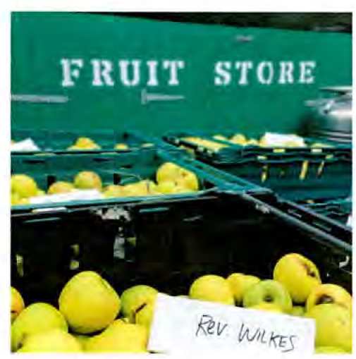 photograph from page 14