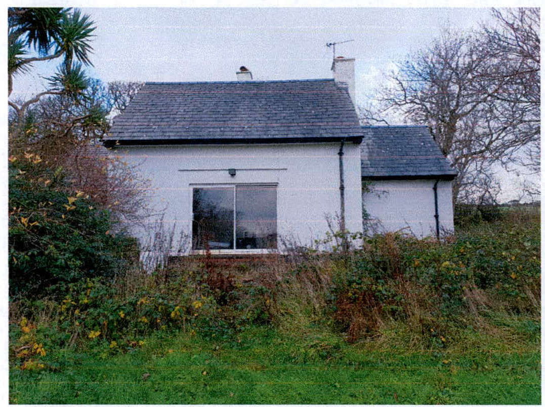 A photograph of a white, single-story detached house with a slate roof, surrounded by overgrown vegetation and trees.