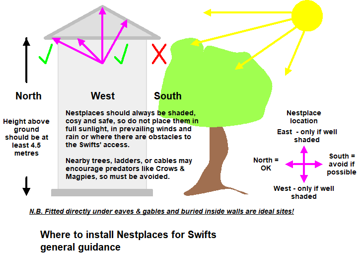A schematic diagram providing general guidance on the optimal placement of Swift nestboxes, illustrating sunlight exposure and tree proximity.