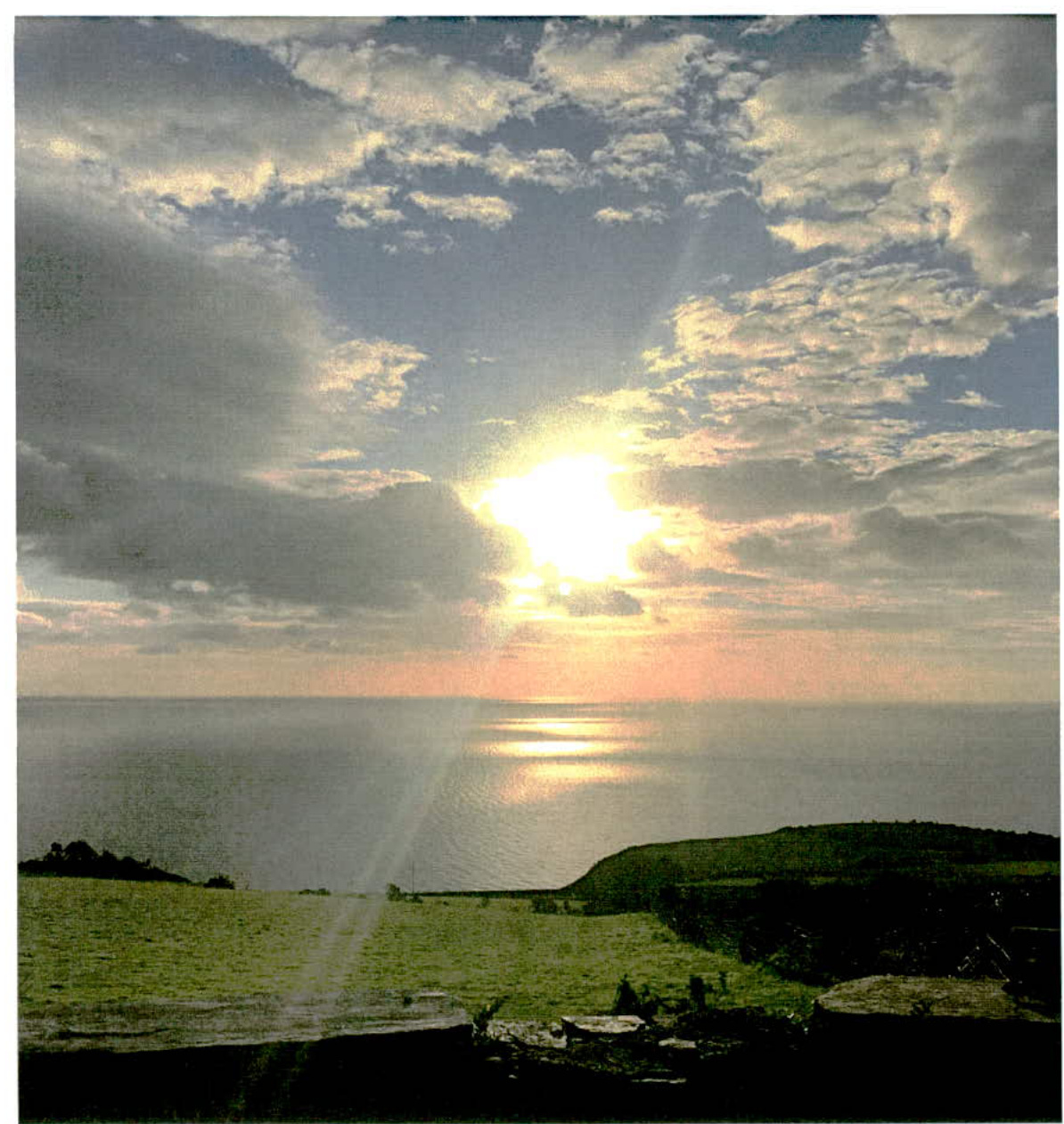 A scenic photograph capturing a coastal view with the sun shining through clouds over the sea and green fields.