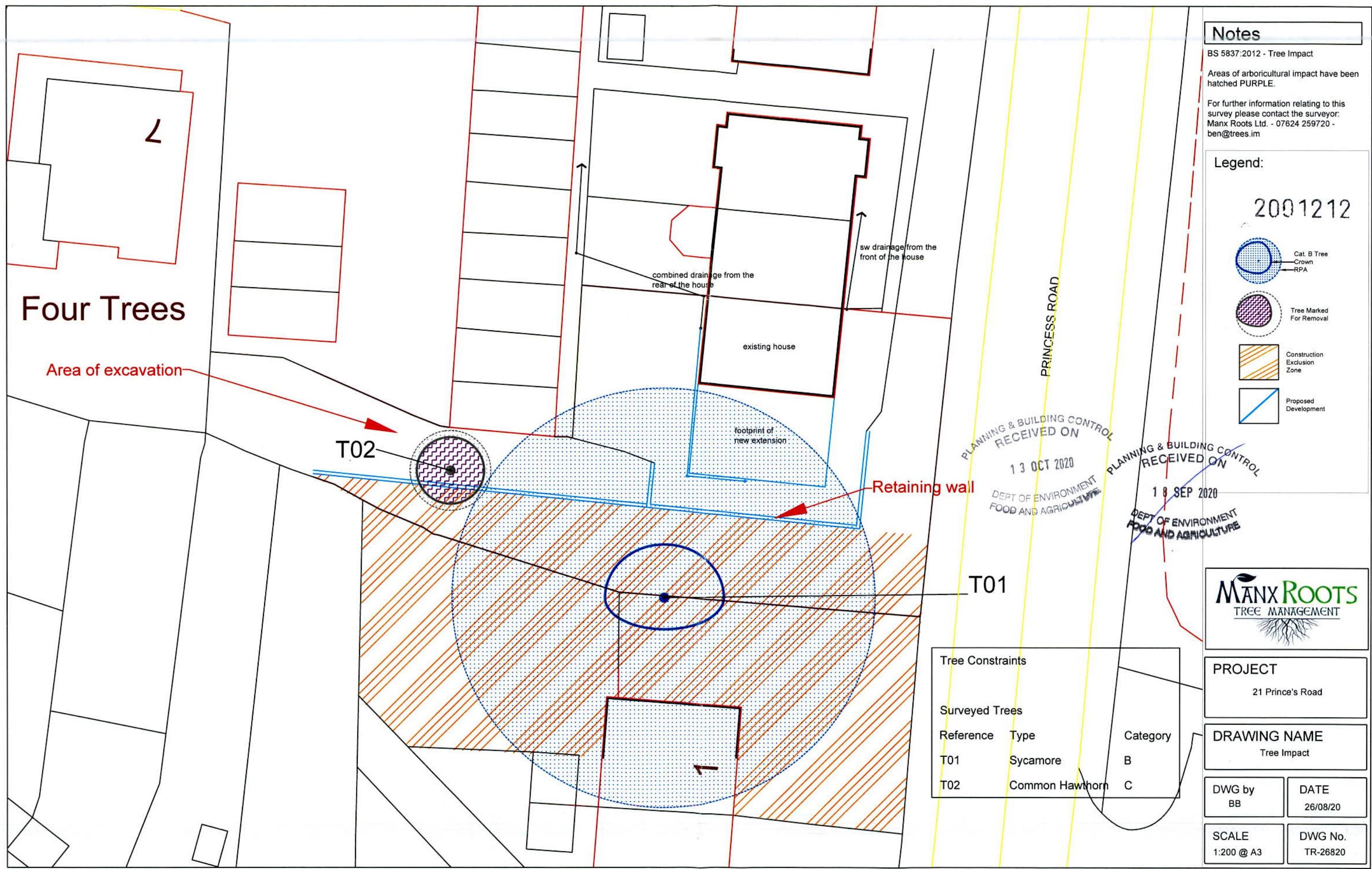 A technical site plan illustrating tree constraints, proposed excavation areas, and a retaining wall near an existing house on Princess Road.