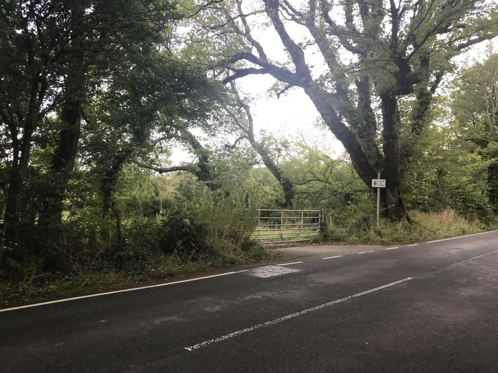 A photograph showing a paved road leading to a metal gate and wooded area, likely depicting the site access.