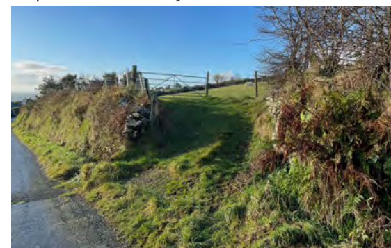 A photograph showing a grassy embankment with a wooden gate and fence, likely depicting the site access or boundary conditions.
