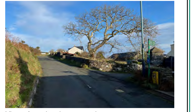 A photograph depicting a rural road with a large tree, stone walls, and residential buildings in the background.