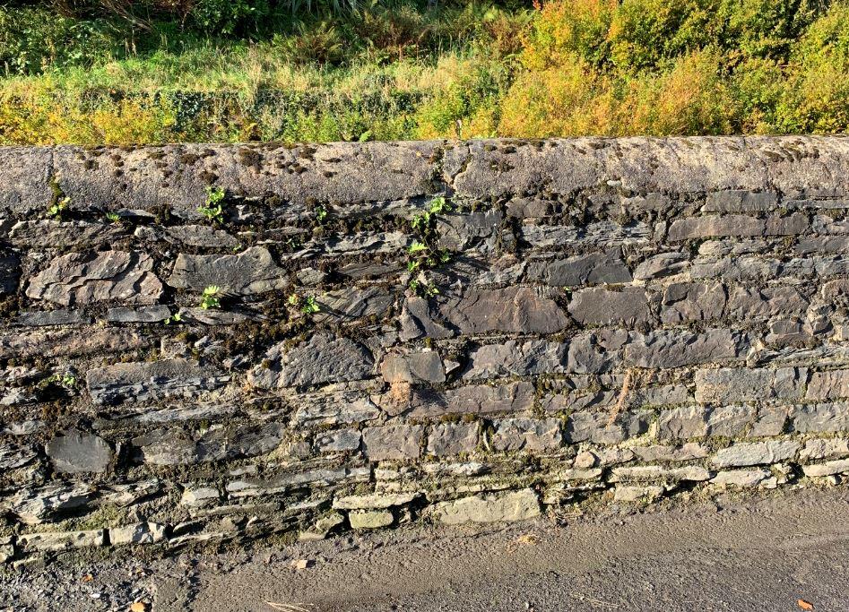 A close-up photograph showing the texture of an existing stone wall with vegetation growing from the top.