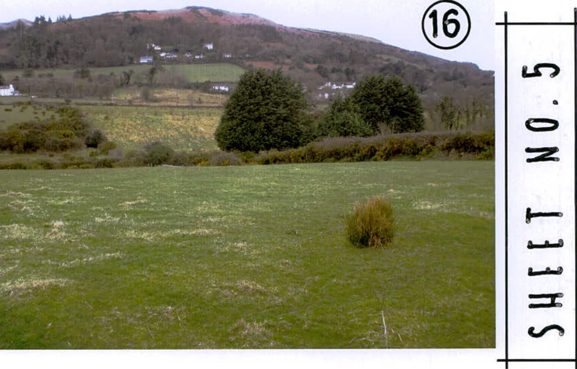 A photograph showing a grassy agricultural field with a tree-lined hillside and distant houses in the background, labeled as Sheet No. 5.