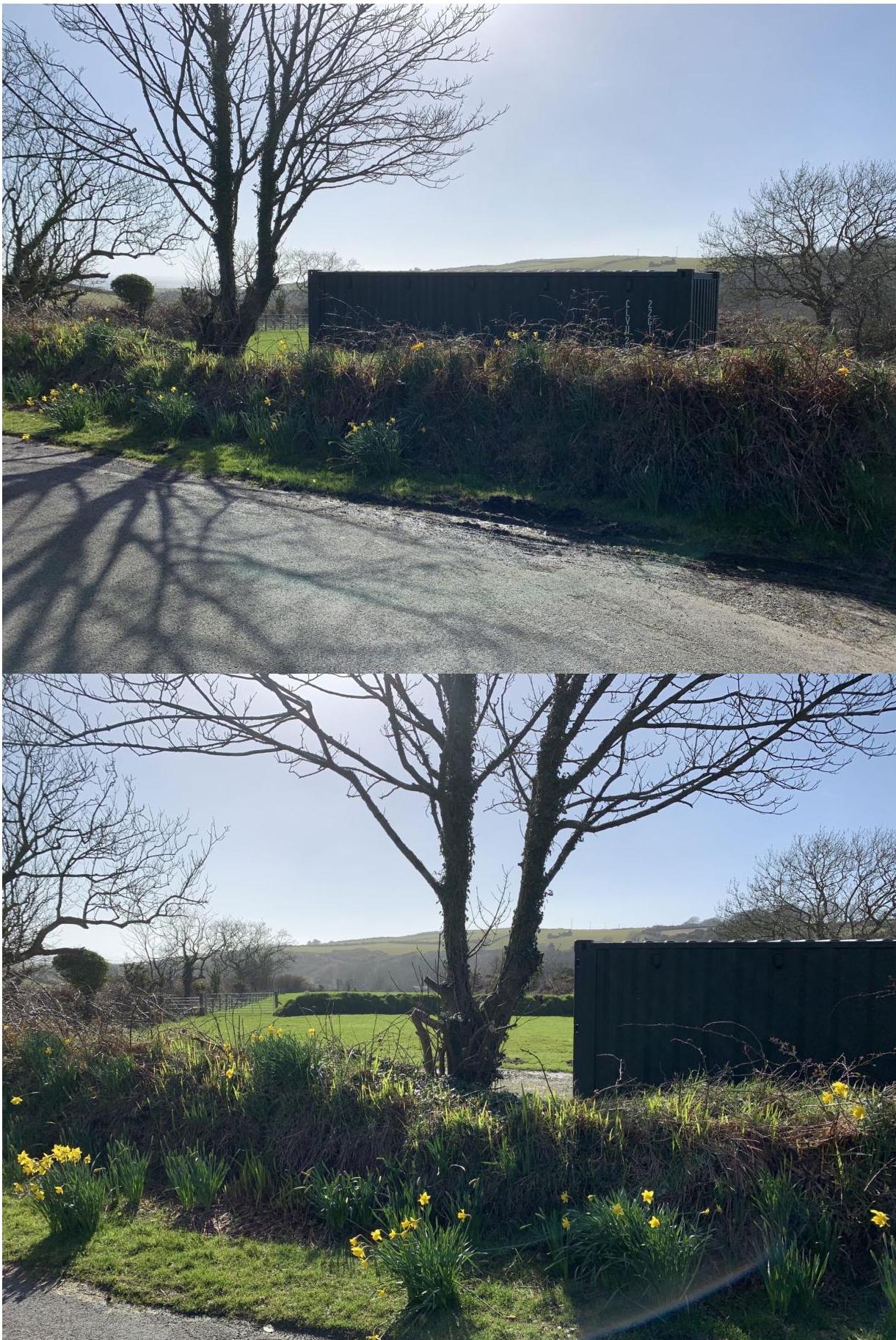 Two photographs showing a dark storage container situated in a rural roadside setting with daffodils and trees.