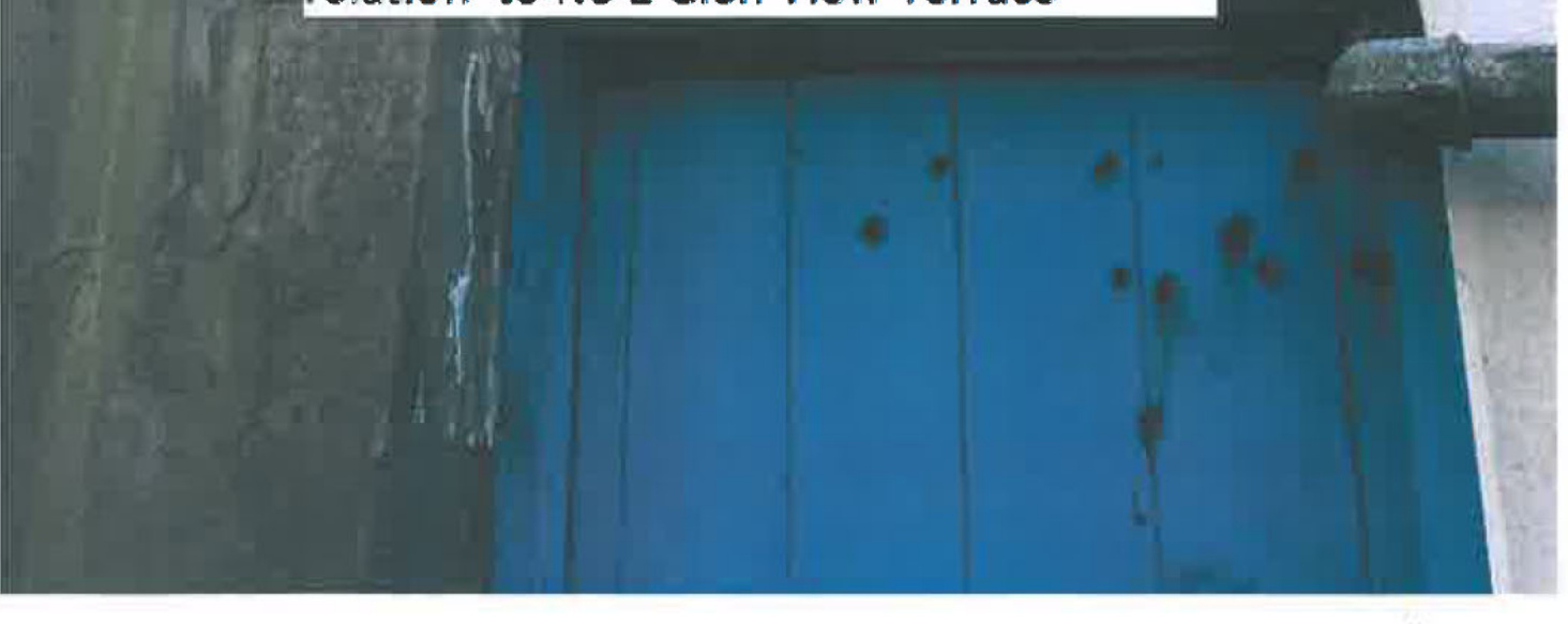 A close-up photograph showing a blue wooden door or gate set into a rough wall, likely part of an existing outbuilding or boundary structure.