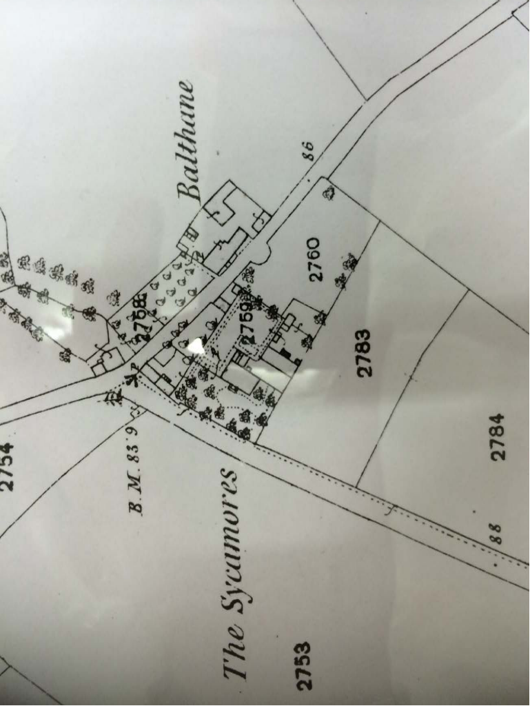 A cropped section of a site location map or OS map extract showing property boundaries, building footprints, and vegetation near 'Balthane' and 'The Sycamores'.