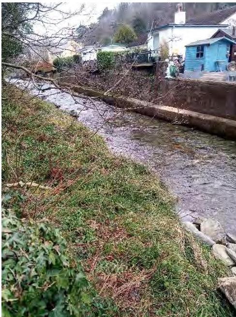 A photograph showing a stream or watercourse flowing through a grassy area with houses and a blue outbuilding in the background.