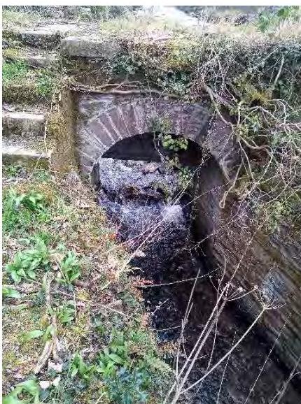 A photograph showing a stone arched culvert or bridge with water flowing through it, surrounded by overgrown vegetation and moss.