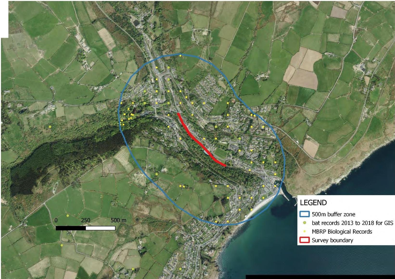 An aerial map of a coastal area displaying a 500m buffer zone, survey boundary, and scattered bat record locations.