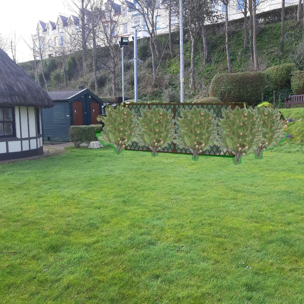 A photograph of a grassy garden area featuring a thatched cottage and a shed, with a semi-transparent digital overlay of a hedge or fence line superimposed in the center.