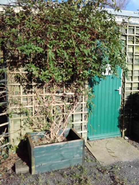 A photograph showing a green wooden door on a wooden structure, partially obscured by overgrown vegetation and a trellis, with a wooden planter box in the foreground.