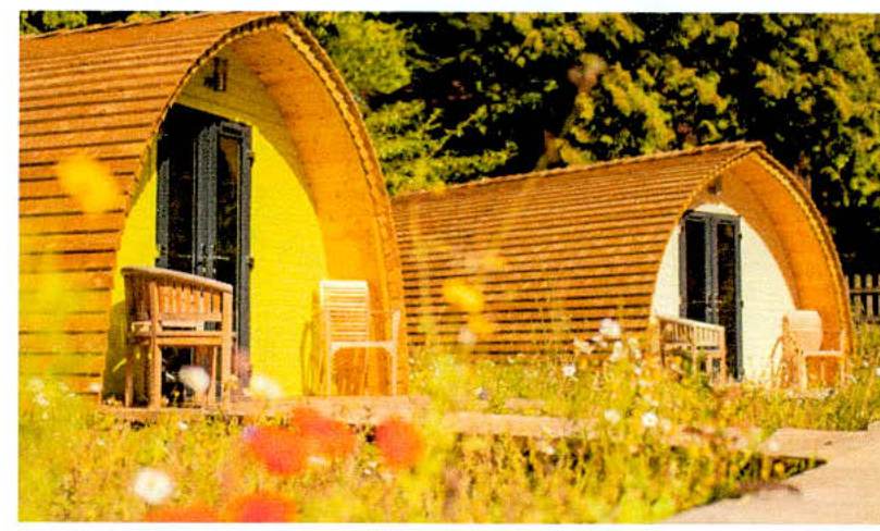 A photograph showing two wooden, arched-roof cabins or lodges situated in a grassy, rural environment with trees in the background.