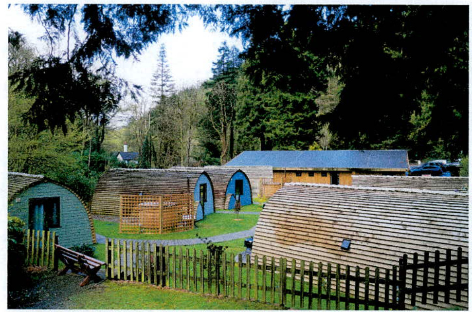 A photograph showing a cluster of wooden holiday pods with curved roofs situated in a wooded, rural area with wooden fencing.