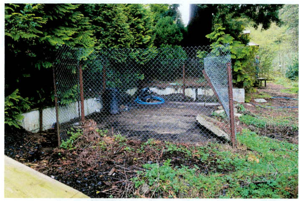 A photograph showing a fenced enclosure in a garden setting with trees and a low concrete wall.