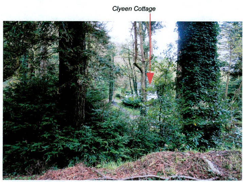 A photograph of a wooded area with a red arrow pointing to a location labeled 'Clyeen Cottage'.