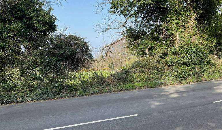 A photograph showing a paved road with a white center line, bordered by a steep bank covered in dense trees and shrubbery.
