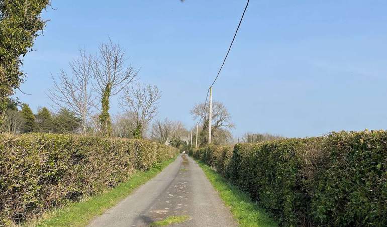 A photograph showing a narrow rural lane flanked by tall green hedges and trees under a clear blue sky.