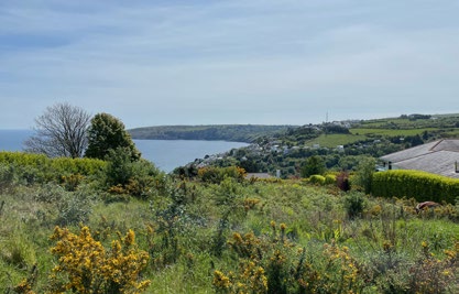 A scenic photograph showing a coastal landscape with green vegetation in the foreground and a view of the sea and distant hills.